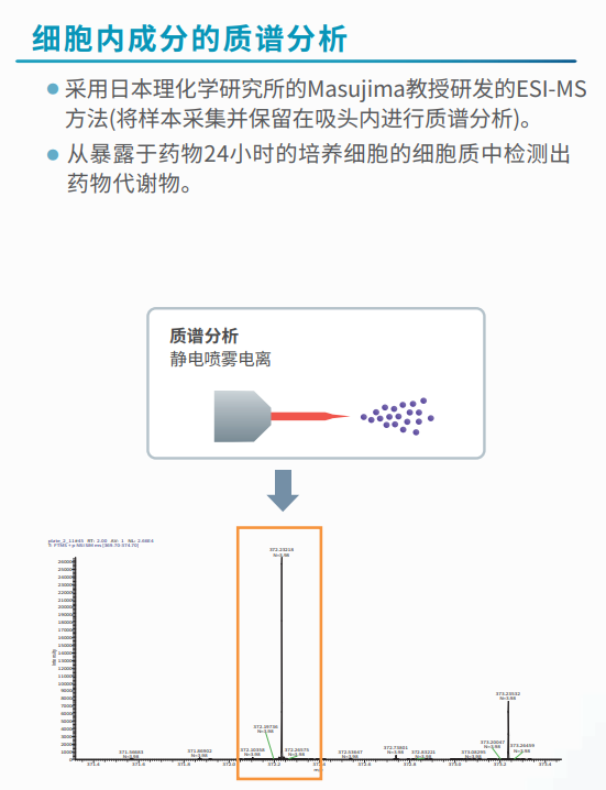 细胞内成分的质谱分析.png 细胞内成分的质谱分析.png