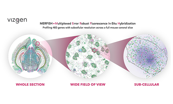 新闻快讯:森西赛智科技与Vizgen公司正式宣布开启中国区战略合作新征程,全方位助力中国空间组学研究