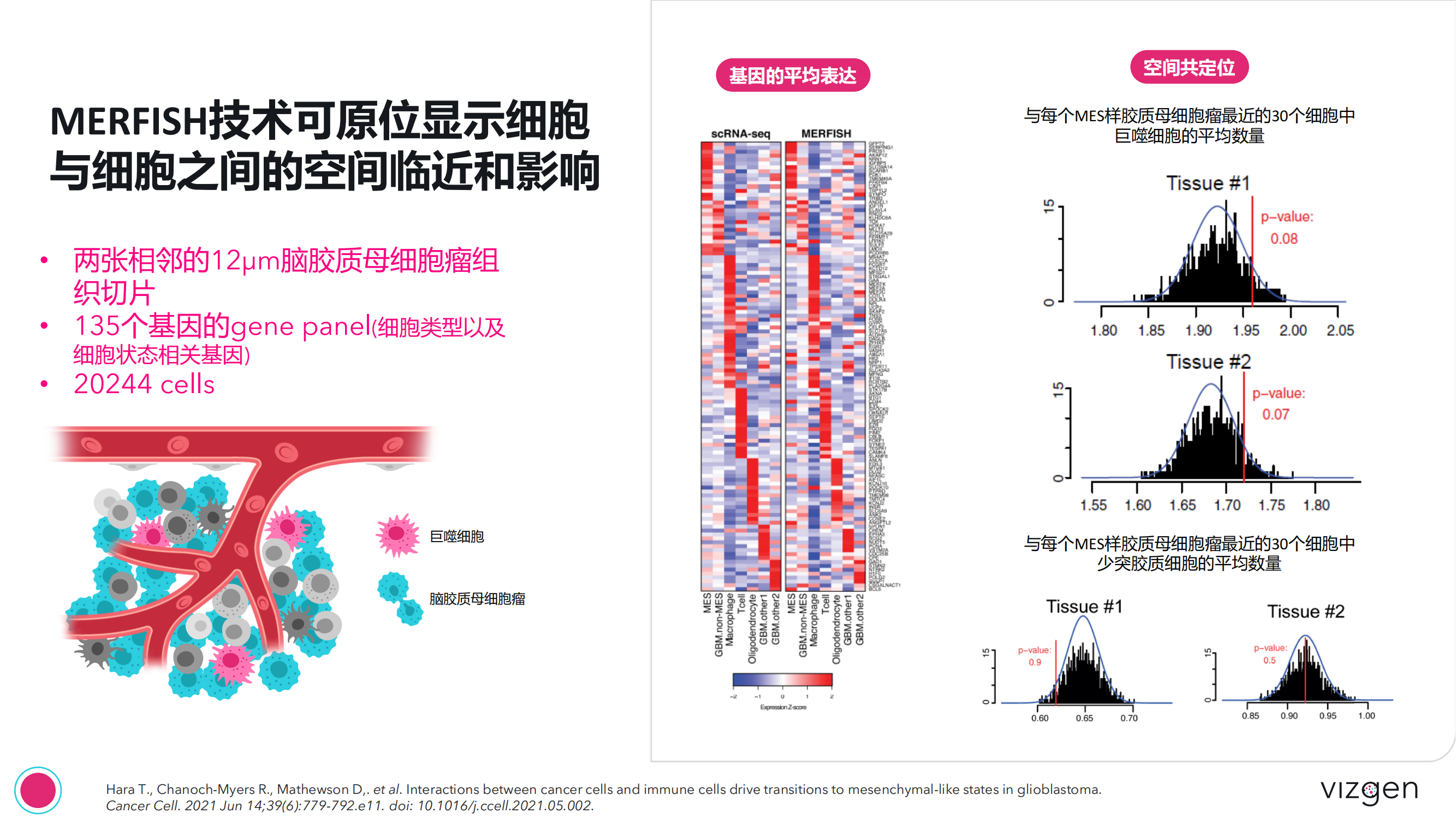 Vizgen intro deck(森西赛智) 20240314(1)_23.png Vizgen intro deck(森西赛智) 20240314(1)_23.png