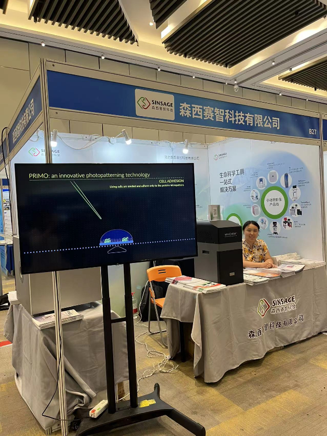 AI改图-微信图片_20230912115629-650x867.jpeg AI改图-微信图片_20230912115629-650x867.jpeg