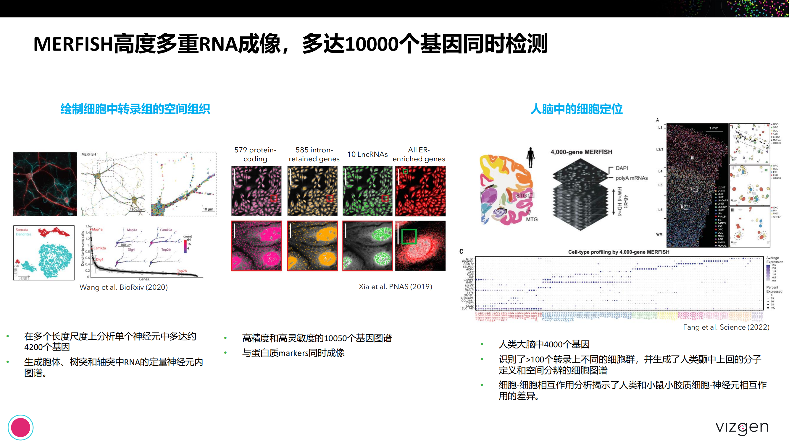 Vizgen intro deck(森西赛智) 20240314(1)_56.png Vizgen intro deck(森西赛智) 20240314(1)_56.png