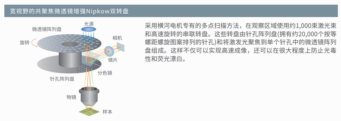 核心技术-3.png 核心技术-3.png