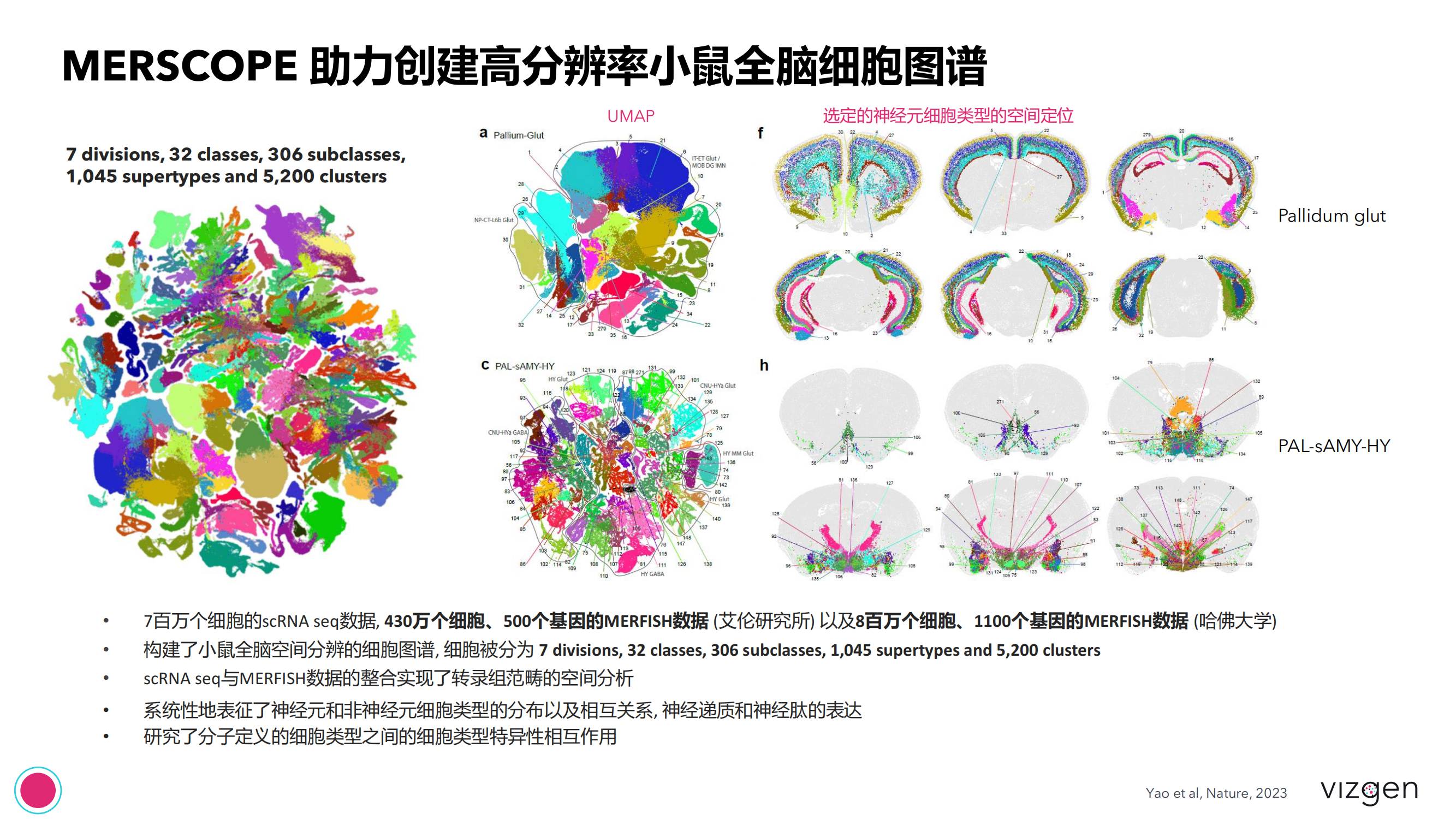 Vizgen intro deck(森西赛智) 20240314(1)_32.png Vizgen intro deck(森西赛智) 20240314(1)_32.png
