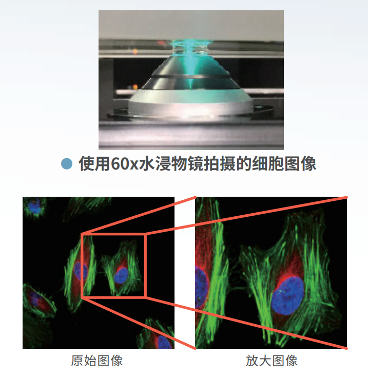 水浸物镜.png 水浸物镜.png