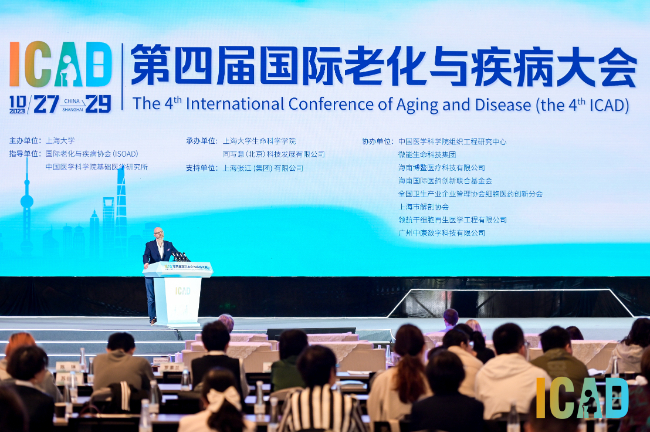 AI改图-微信图片_20231030151638-650x432.jpeg AI改图-微信图片_20231030151638-650x432.jpeg