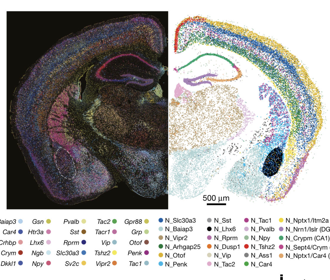 重点图片.jpg 重点图片.jpg