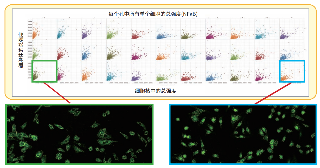 应用4 核转移.png 应用4 核转移.png