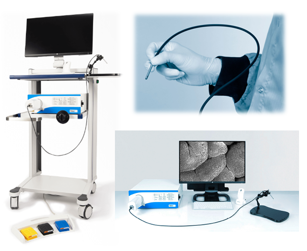 FIVE 2-3.png FIVE 2-3.png