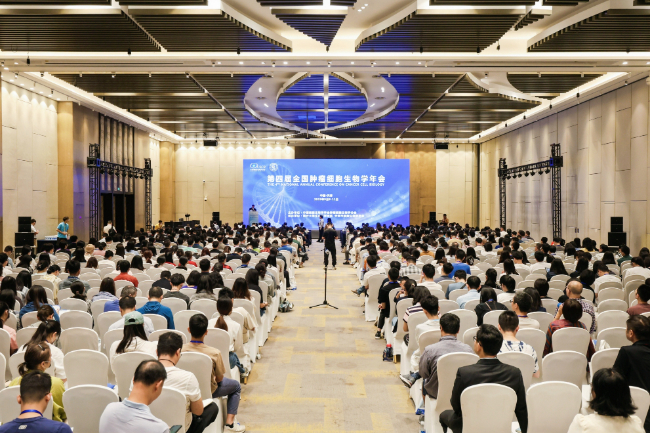 AI改图-微信图片_202309121036055-650x433.jpeg AI改图-微信图片_202309121036055-650x433.jpeg