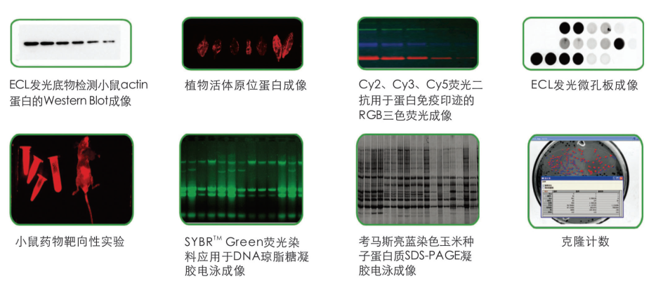 QQ截图20230306141847.png QQ截图20230306141847.png