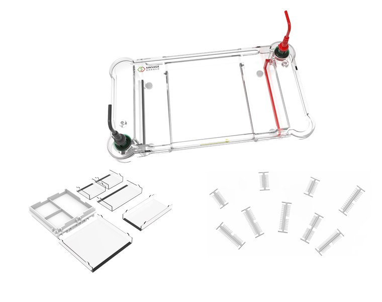 水平电泳槽.png 水平电泳槽.png