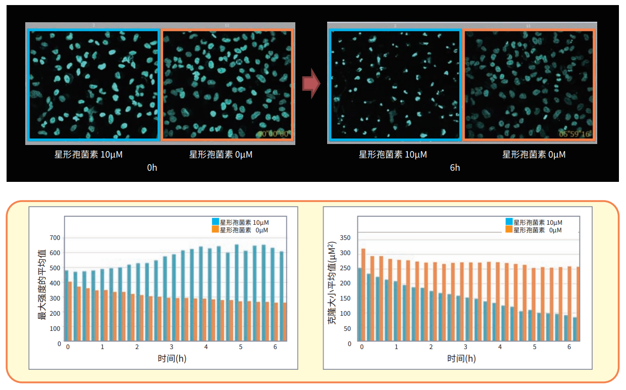 应用5 延时分析细胞凋亡.png 应用5 延时分析细胞凋亡.png