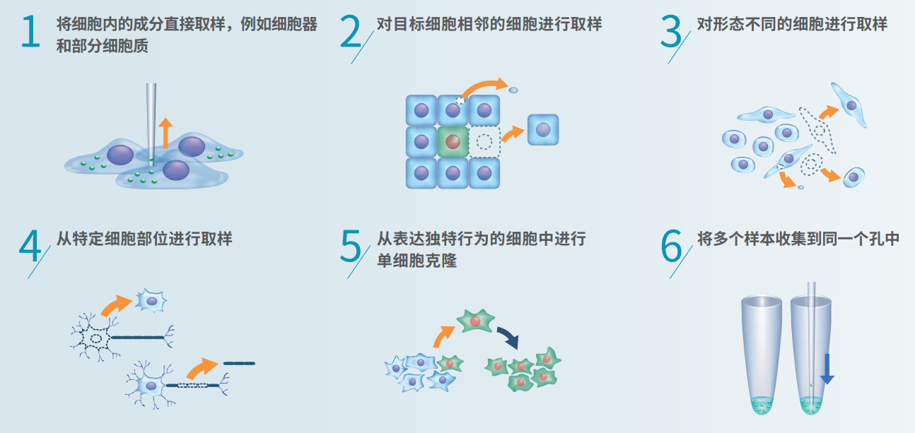 应用总述.png 应用总述.png