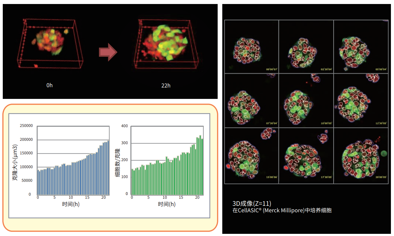 应用6 延时分析ESC克隆.png 应用6 延时分析ESC克隆.png