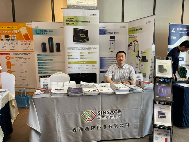 AI改图-微信图片_20230619091249-650x487.jpeg AI改图-微信图片_20230619091249-650x487.jpeg