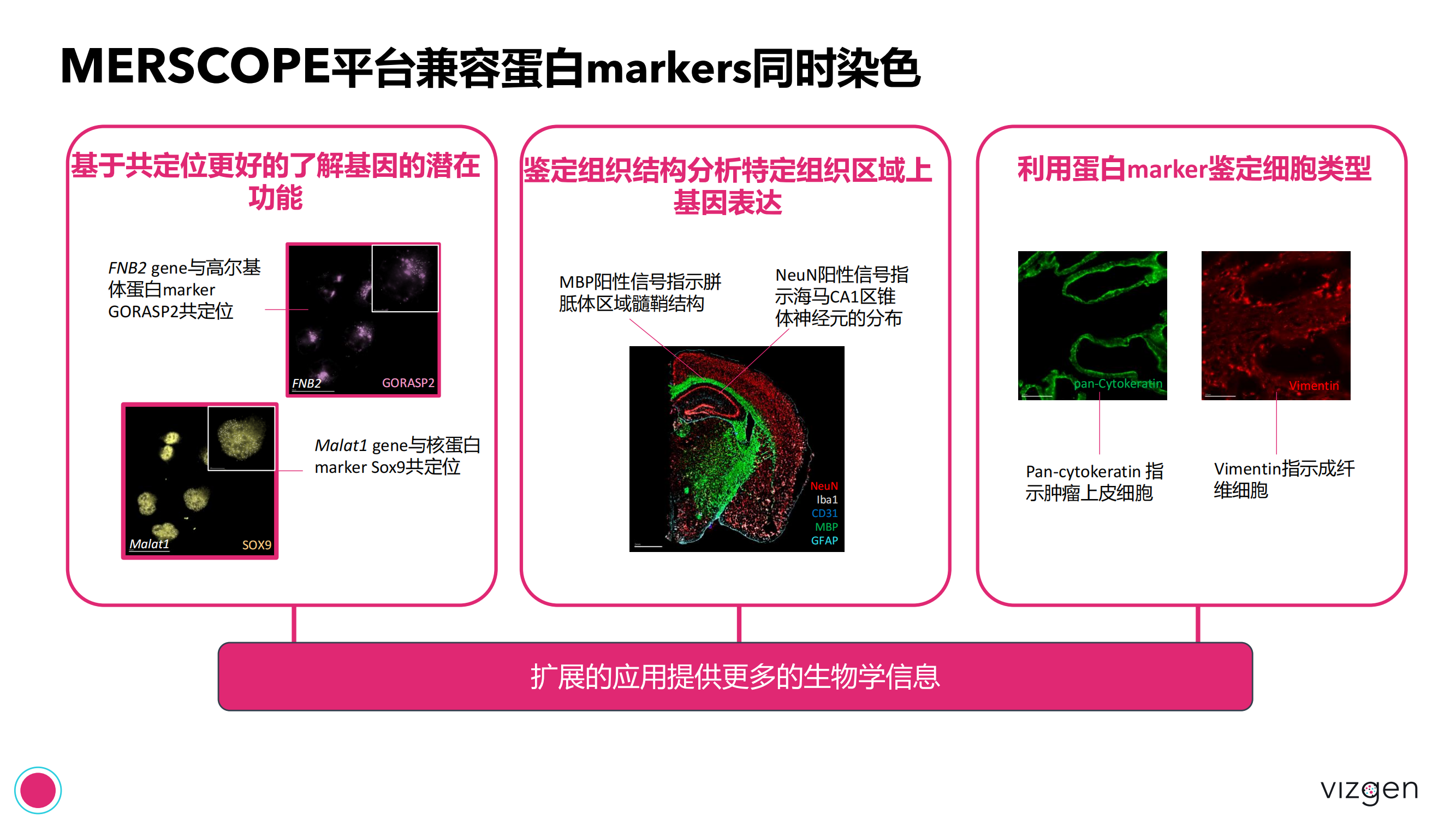 Vizgen intro deck(森西赛智) 20240314(1)_25.png Vizgen intro deck(森西赛智) 20240314(1)_25.png
