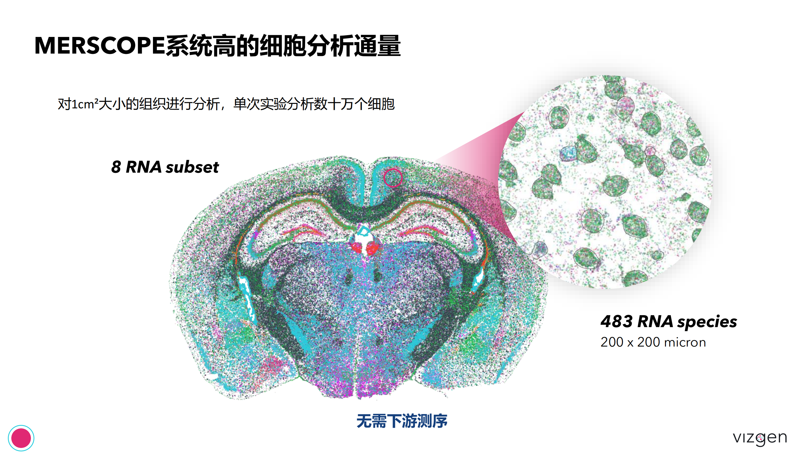 Vizgen intro deck(森西赛智) 20240314(1)_24.png Vizgen intro deck(森西赛智) 20240314(1)_24.png